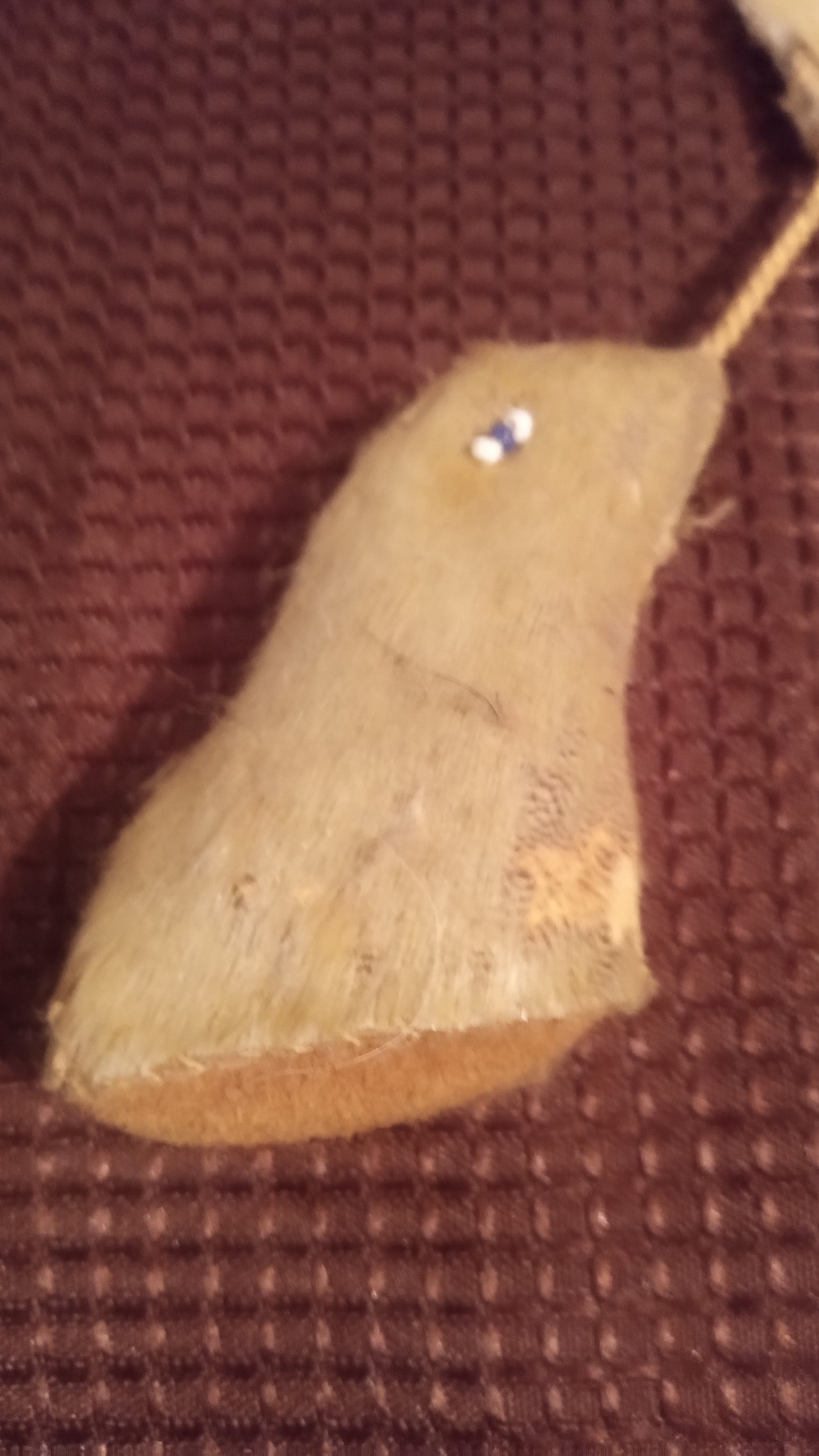 Vintage Indigenous Style Fetish Necklace | Real Fur/Hide Paw Amulet | Ceremonial Tribal Jewelry