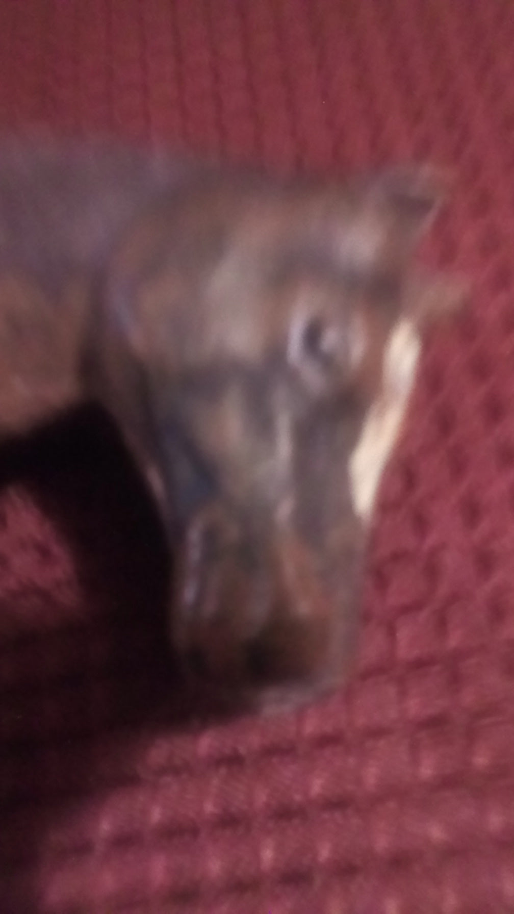 Antique American Cast Iron Horse Paperweight - Hubley/Kenton Style - Early 20th Century Farm Animal