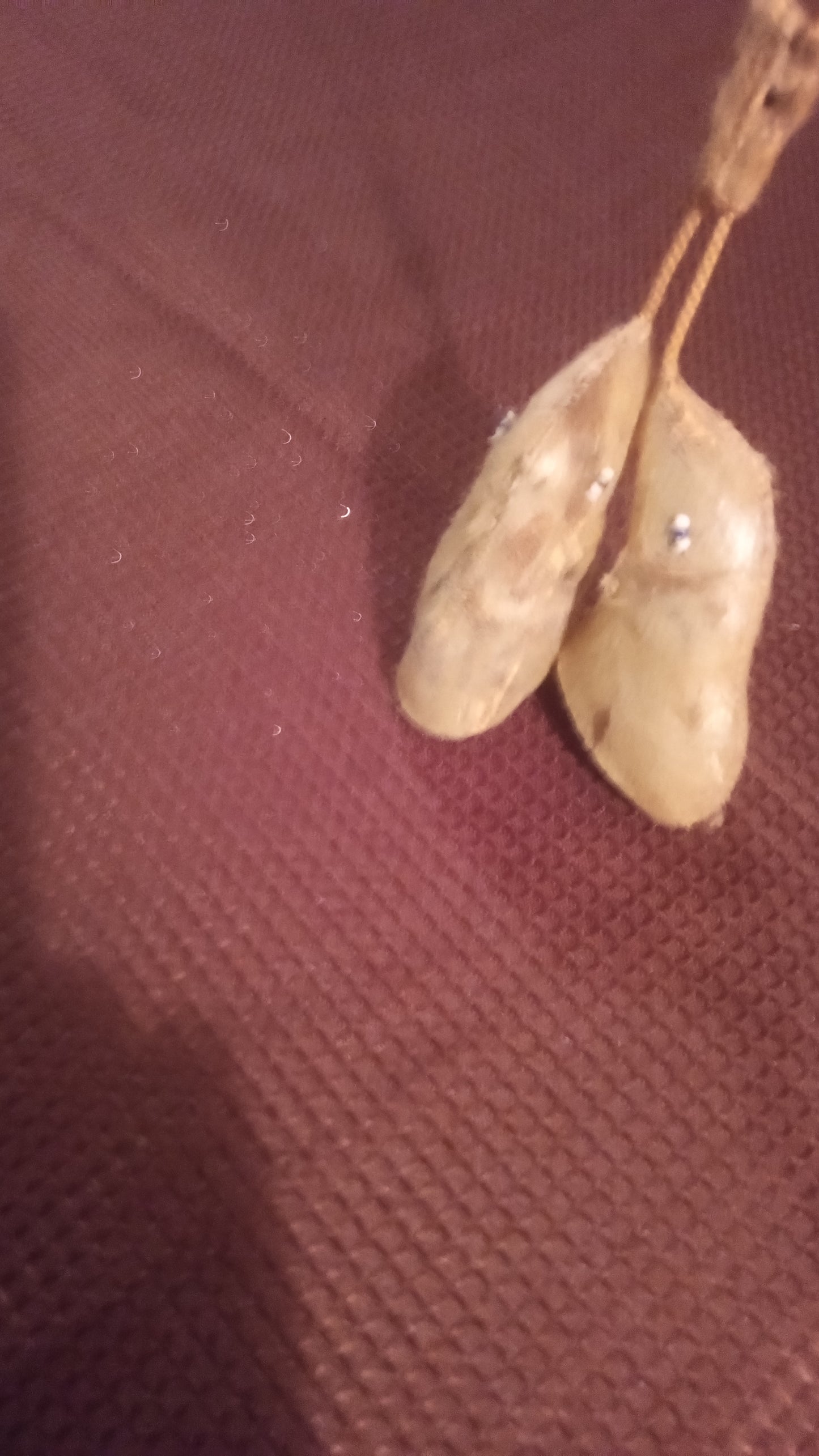 Vintage Indigenous Style Fetish Necklace | Real Fur/Hide Paw Amulet | Ceremonial Tribal Jewelry