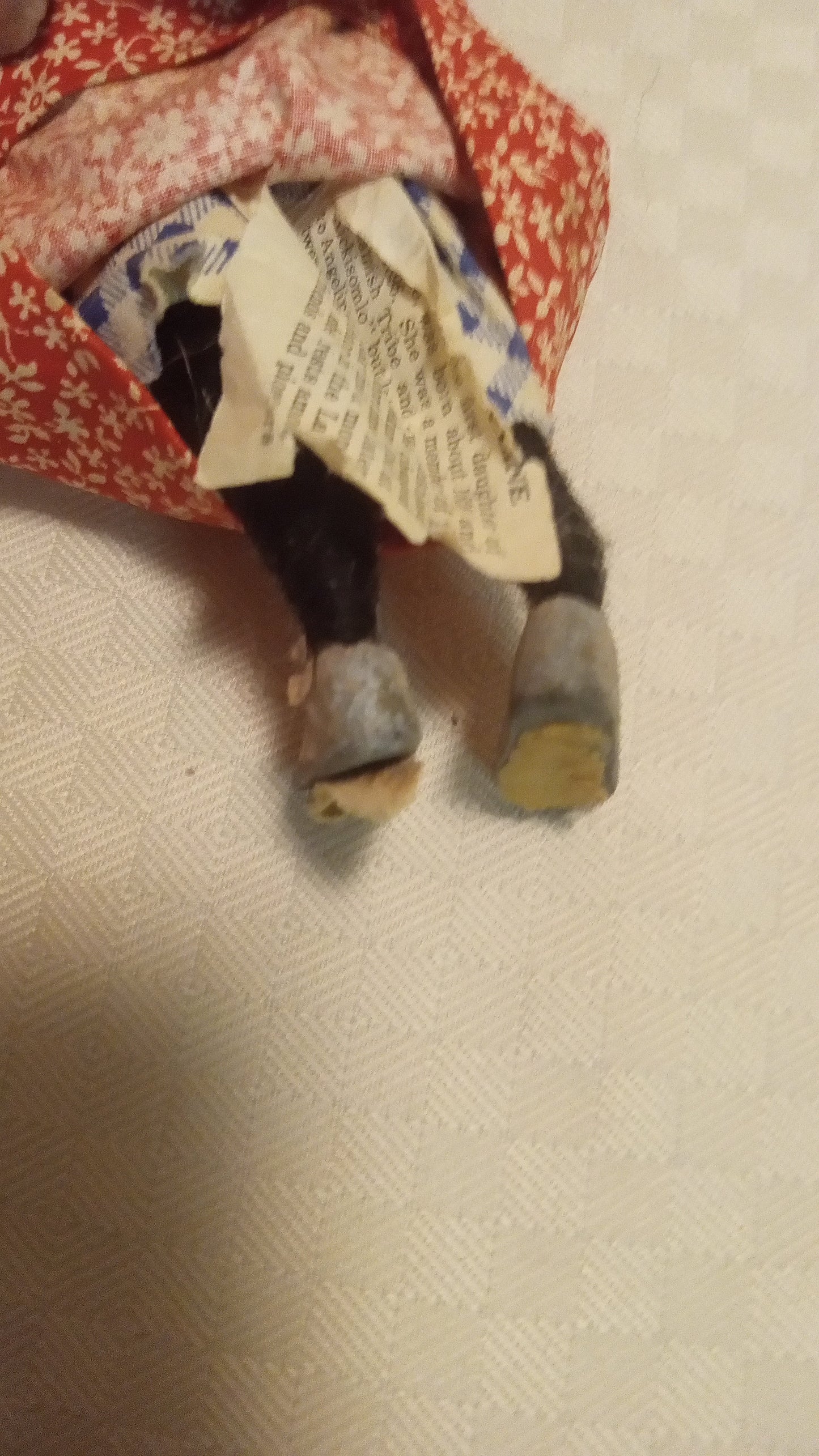 RARE Princess Angeline Doll | Chief Seattle's Daughter | Documented Native American Historical Figure (8.5")