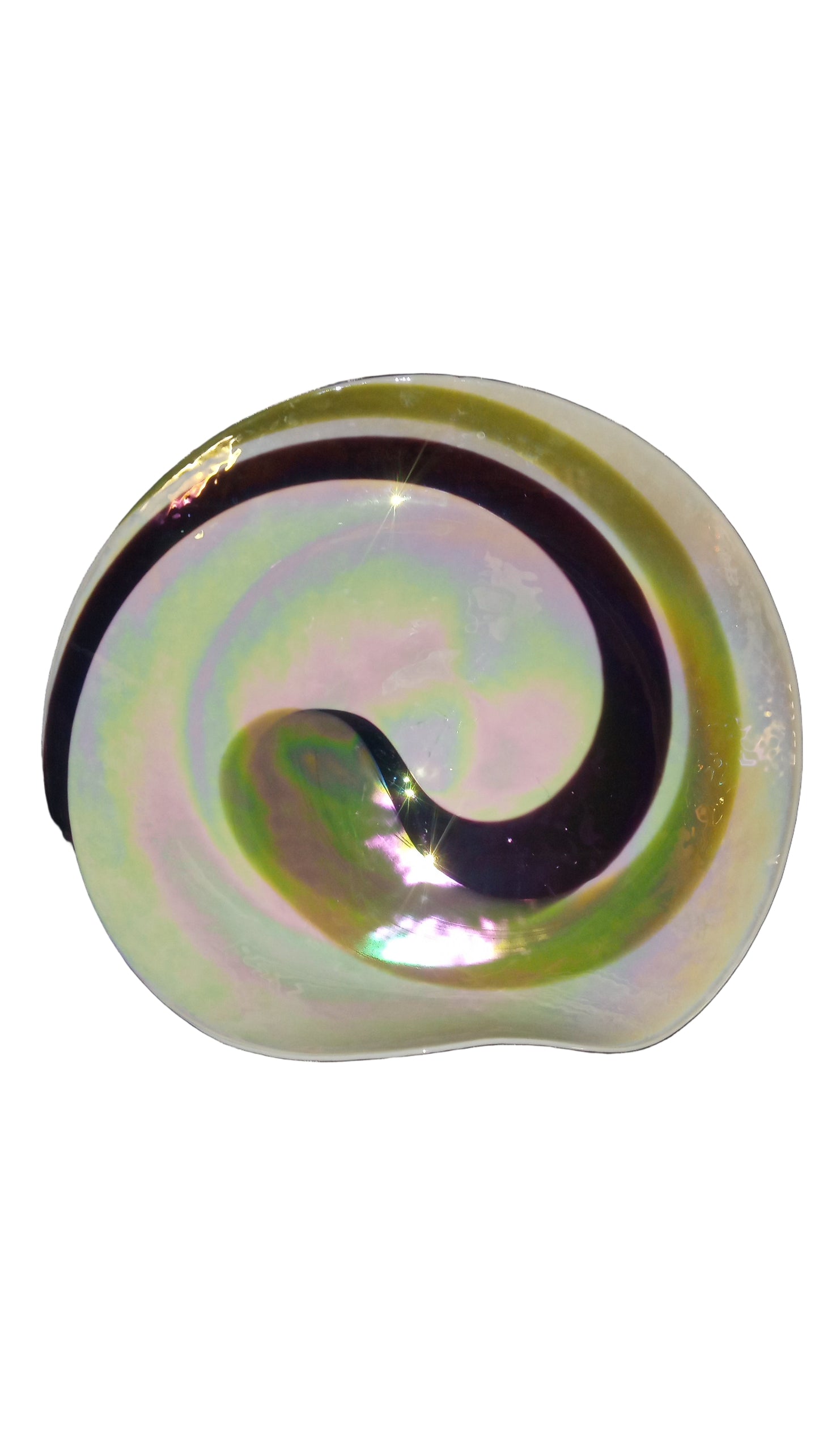 CRATE & BARREL FOSSILI SEASHELL MURANO CENTERPIECE