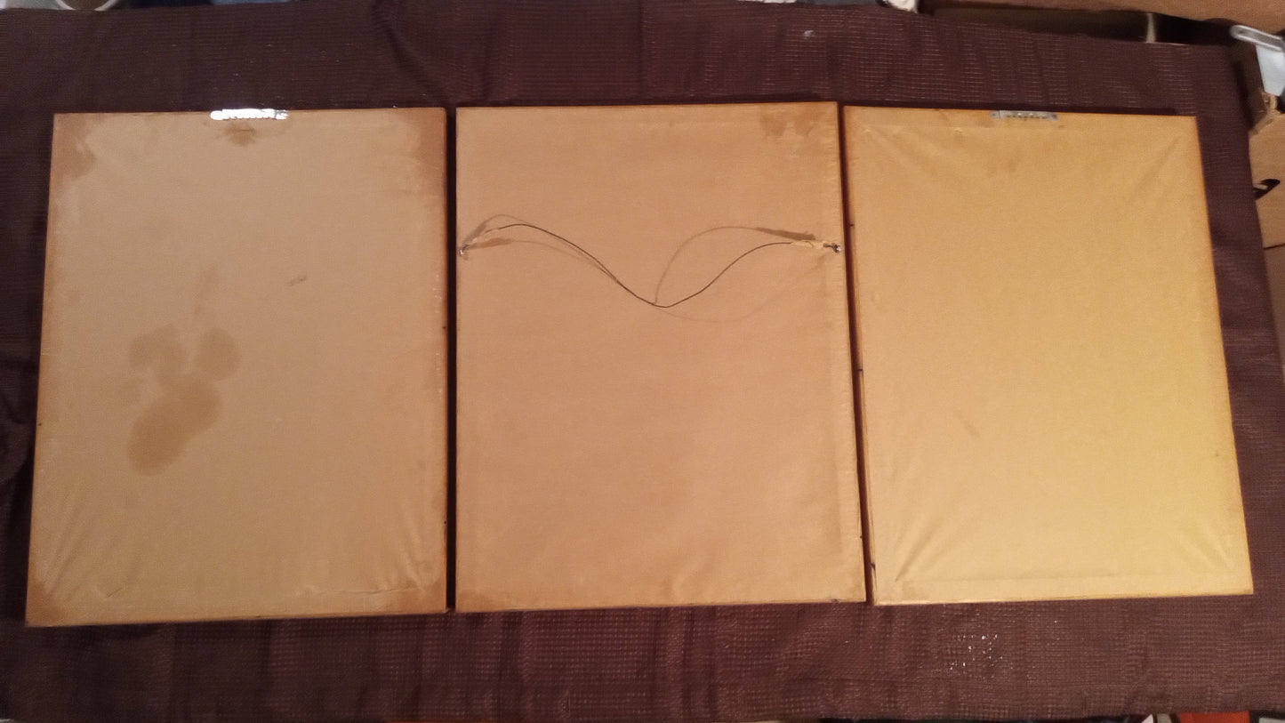 Complete Set of 3 FREDERIC REMINGTON Prints: A Sioux Chief, Arizona Cowboy, Old Ramon | Framed, Glass, Perfect Condition