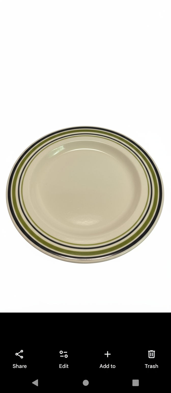 CRATE & BARREL FOSSILI SEASHELL MURANO CENTERPIECE