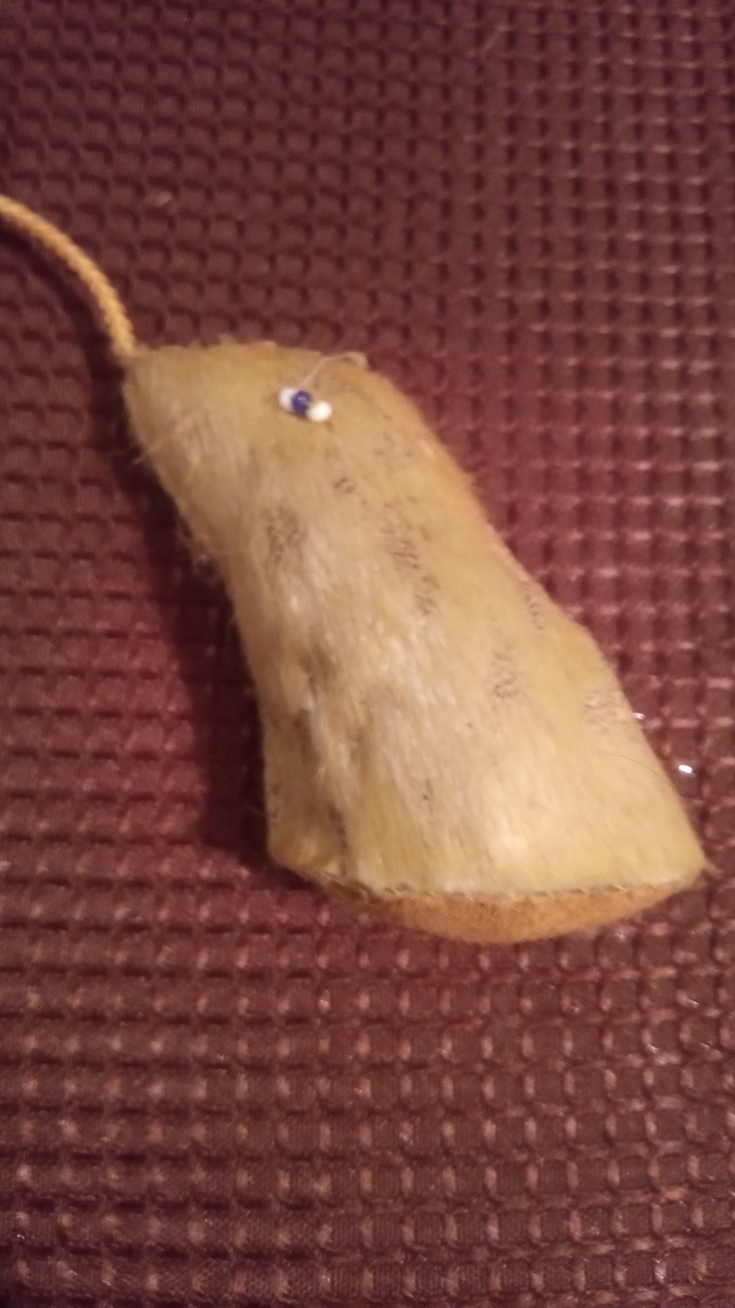 Vintage Indigenous Style Fetish Necklace | Real Fur/Hide Paw Amulet | Ceremonial Tribal Jewelry