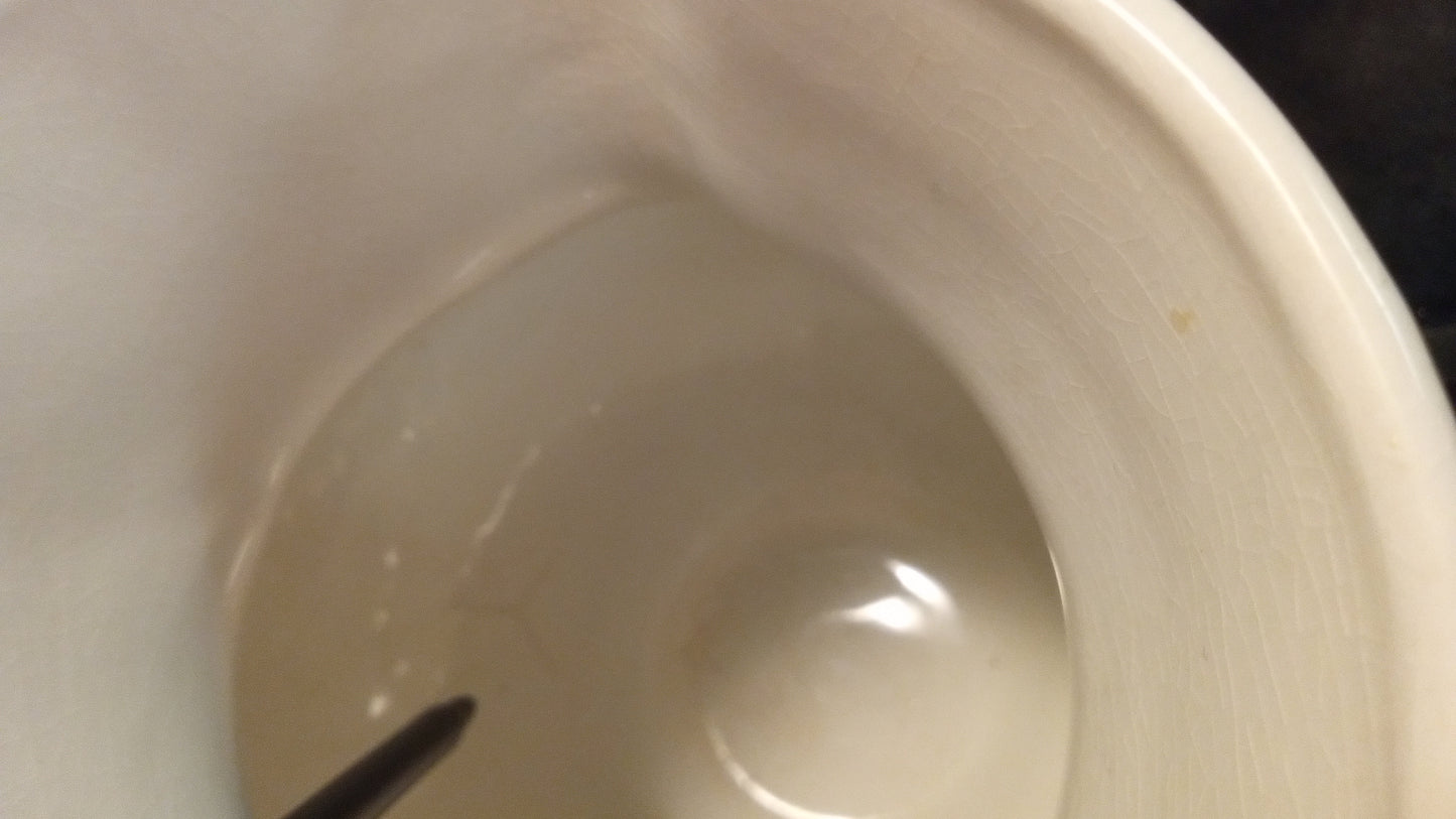 Early 1900's Embossed Floral Wash Pitcher – White with Gold & Yellow Accents – Victorian Ironstone Style